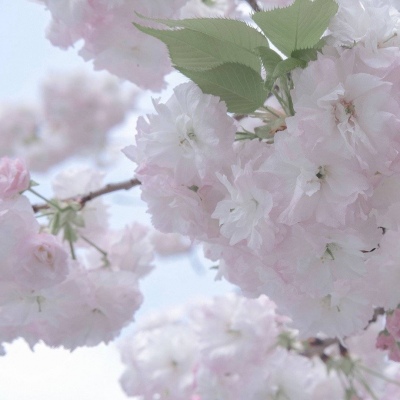 Furry插画构图实用思路兽圈群